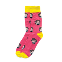 Steven Socks!